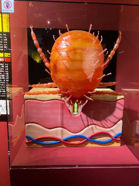 特別展「超危険生物展　科学で挑む生き物の本気」に投稿された画像（2026/4/4）
