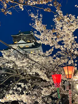 大阪城公園 西の丸庭園に投稿された画像（2026/4/4）