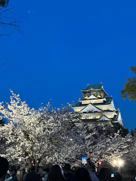 大阪城公園 西の丸庭園に投稿された画像（2026/4/4）