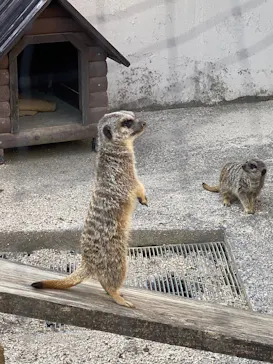 東武動物公園に投稿された画像（2026/4/4）