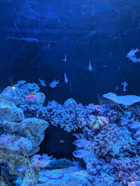 マクセル アクアパーク品川に投稿された画像（2026/4/4）