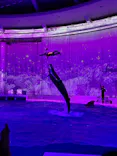 アクアワールド茨城県大洗水族館に投稿された画像（2026/4/5）