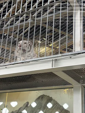 NIFREL（ニフレル）に投稿された画像（2026/4/4）