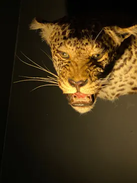 特別展「超危険生物展　科学で挑む生き物の本気」に投稿された画像（2026/4/4）