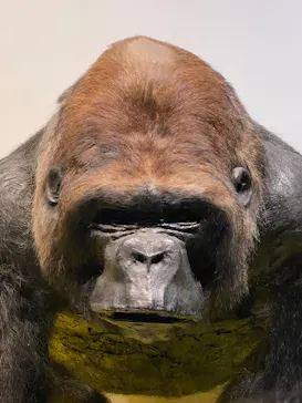 特別展「超危険生物展　科学で挑む生き物の本気」に投稿された画像（2026/4/4）