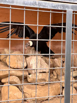 那須どうぶつ王国に投稿された画像（2026/4/4）