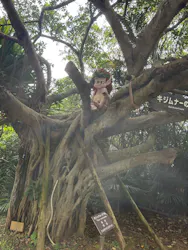 琉球村に投稿された画像（2026/4/4）