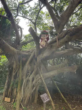 琉球村に投稿された画像（2026/4/4）