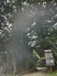 琉球村に投稿された画像（2026/4/4）