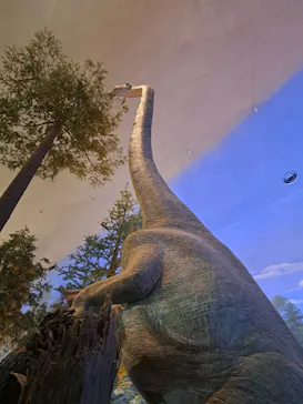 福井県立恐竜博物館に投稿された画像（2026/4/4）