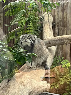 神戸どうぶつ王国に投稿された画像（2026/4/4）