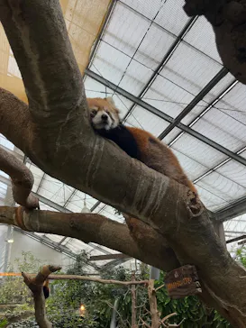 神戸どうぶつ王国に投稿された画像（2026/4/4）