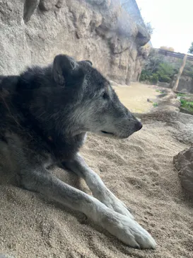 神戸どうぶつ王国に投稿された画像（2026/4/4）