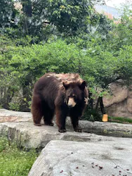 神戸どうぶつ王国に投稿された画像（2026/4/4）