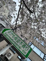 ずこうしつ〜sugamo〜に投稿された画像（2026/4/4）