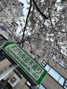 ずこうしつ〜sugamo〜に投稿された画像（2026/4/4）