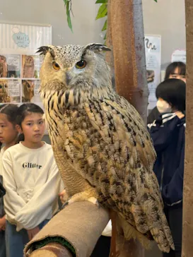 Moff animal cafe イオンモール幕張新都心店に投稿された画像（2026/4/4）