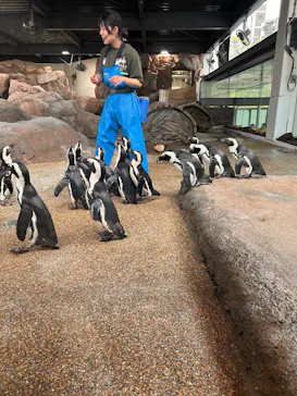 京都水族館に投稿された画像（2026/4/5）