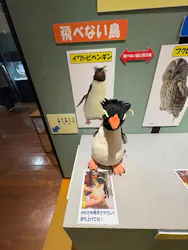 ミュージアムパーク茨城県自然博物館に投稿された画像（2026/4/5）