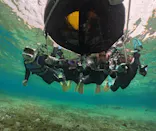 武藤潜水に投稿された画像（2026/4/5）