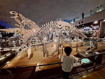 福井県立恐竜博物館に投稿された画像（2026/4/5）