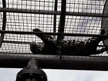 沖縄こどもの国に投稿された画像（2026/4/5）