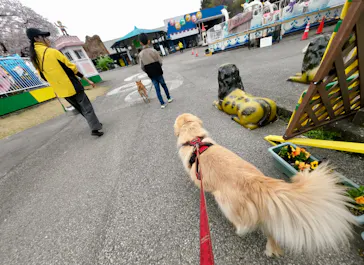 宇都宮動物園に投稿された画像（2026/4/5）