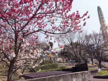 ひらかたパークに投稿された画像（2026/4/5）