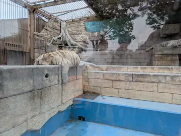 東武動物公園に投稿された画像（2026/4/5）