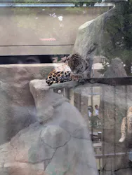 東武動物公園に投稿された画像（2026/4/5）