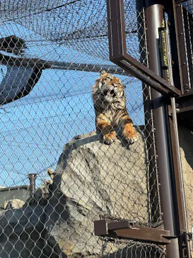 名古屋市東山動植物園に投稿された画像（2026/4/5）