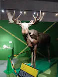 特別展「超危険生物展　科学で挑む生き物の本気」に投稿された画像（2026/4/5）