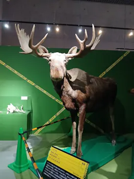 特別展「超危険生物展　科学で挑む生き物の本気」に投稿された画像（2026/4/5）