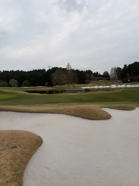 International Series Japanに投稿された画像（2026/4/5）