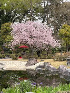 元離宮二条城に投稿された画像（2026/4/5）