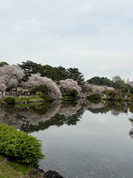 新宿御苑に投稿された画像（2026/4/5）
