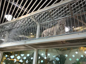 NIFREL（ニフレル）に投稿された画像（2026/4/5）