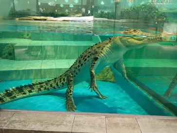 NIFREL（ニフレル）に投稿された画像（2026/4/5）