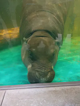 NIFREL（ニフレル）に投稿された画像（2026/4/5）