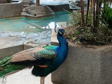 NIFREL（ニフレル）に投稿された画像（2026/4/5）