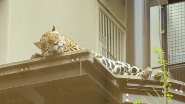 名古屋市東山動植物園に投稿された画像（2026/4/5）