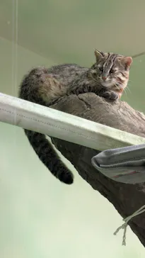 名古屋市東山動植物園に投稿された画像（2026/4/5）