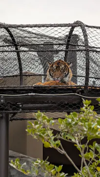 名古屋市東山動植物園に投稿された画像（2026/4/5）