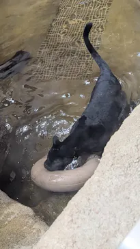 名古屋市東山動植物園に投稿された画像（2026/4/5）