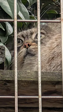 名古屋市東山動植物園に投稿された画像（2026/4/5）