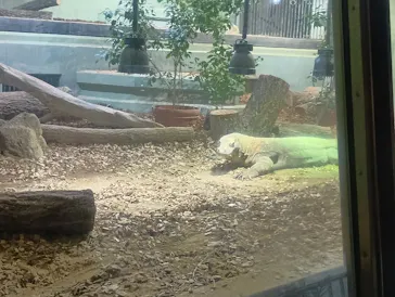 名古屋市東山動植物園に投稿された画像（2026/4/5）