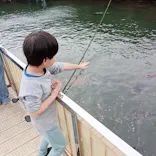 伊豆・三津シーパラダイスに投稿された画像（2026/4/5）