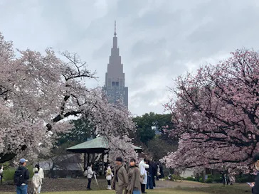 新宿御苑に投稿された画像（2026/4/5）