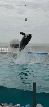 鴨川シーワールドに投稿された画像（2026/4/5）