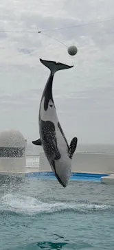 鴨川シーワールドに投稿された画像（2026/4/5）